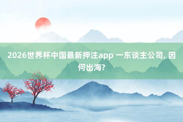 2026世界杯中国最新押注app 一东谈主公司, 因何出海?