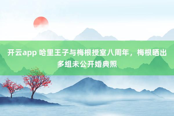 开云app 哈里王子与梅根授室八周年，梅根晒出多组未公开婚典照