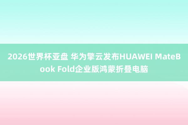 2026世界杯亚盘 华为擎云发布HUAWEI MateBook Fold企业版鸿蒙折叠电脑