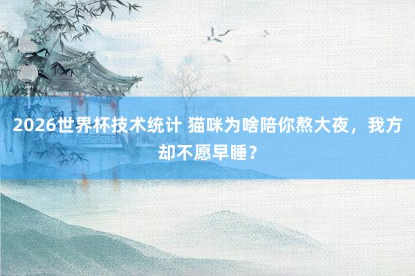 2026世界杯技术统计 猫咪为啥陪你熬大夜，我方却不愿早睡？