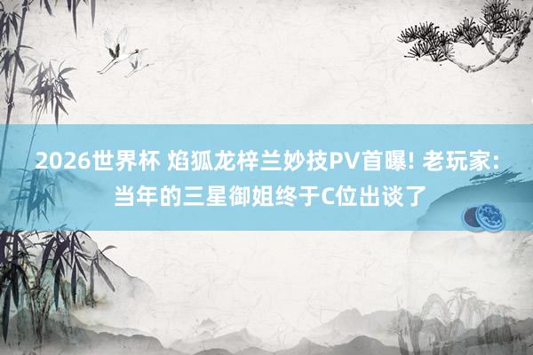 2026世界杯 焰狐龙梓兰妙技PV首曝! 老玩家: 当年的三星御姐终于C位出谈了