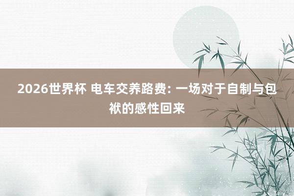 2026世界杯 电车交养路费: 一场对于自制与包袱的感性回来