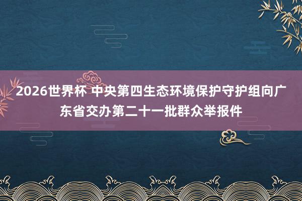 2026世界杯 中央第四生态环境保护守护组向广东省交办第二十一批群众举报件