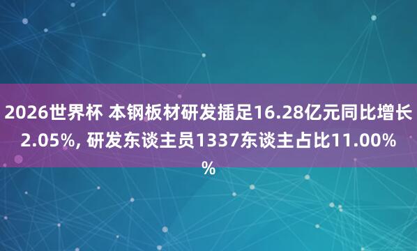 2026世界杯 本钢板材研发插足16.28亿元同比增长2.05%, 研发东谈主员1337东谈主占比11.00%