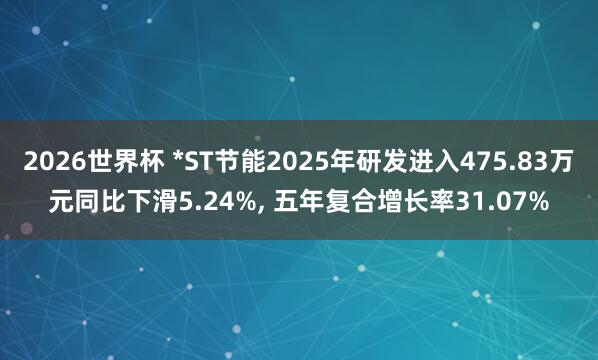 2026世界杯 *ST节能2025年研发进入475.83万元同比下滑5.24%, 五年复合增长率31.07%