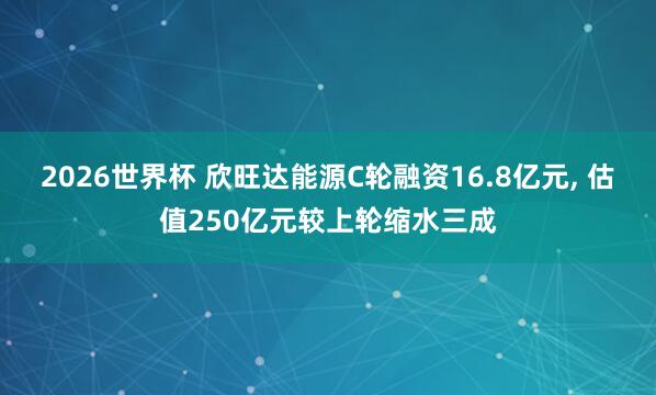 2026世界杯 欣旺达能源C轮融资16.8亿元, 估值250亿元较上轮缩水三成