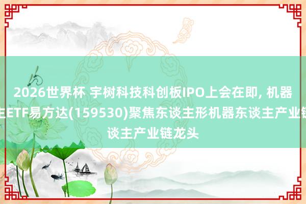 2026世界杯 宇树科技科创板IPO上会在即, 机器东谈主ETF易方达(159530)聚焦东谈主形机器东谈主产业链龙头