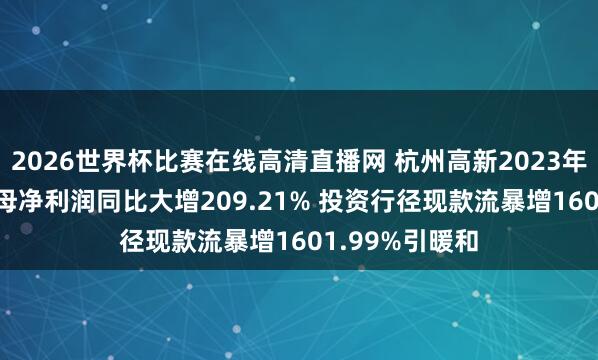 2026世界杯比赛在线高清直播网 杭州高新2023年财报解读: 归母净利润同比大增209.21% 投资行径现款流暴增1601.99%引暖和