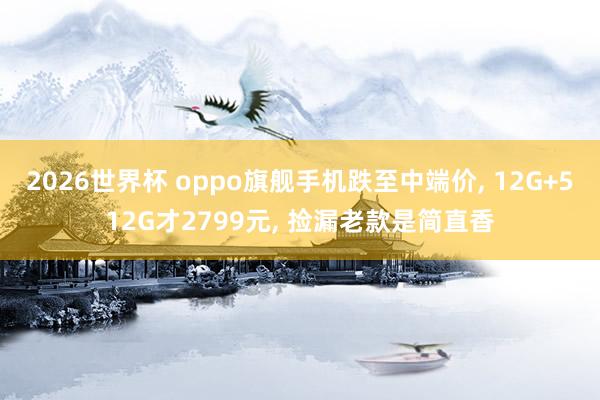 2026世界杯 oppo旗舰手机跌至中端价, 12G+512G才2799元, 捡漏老款是简直香