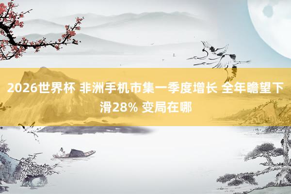 2026世界杯 非洲手机市集一季度增长 全年瞻望下滑28% 变局在哪