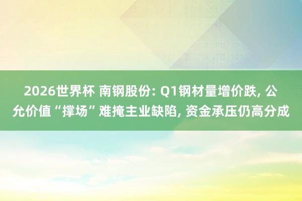 2026世界杯 南钢股份: Q1钢材量增价跌, 公允价值“撑场”难掩主业缺陷, 资金承压仍高分成