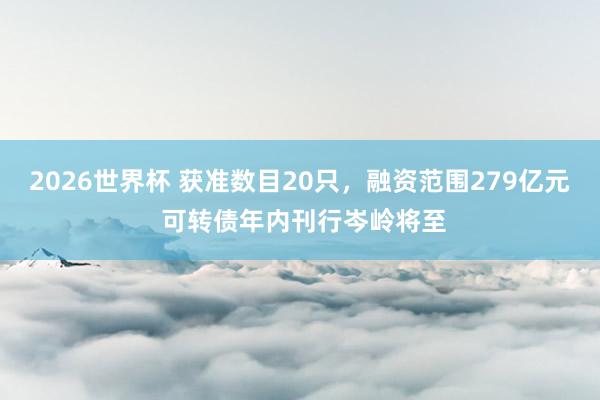 2026世界杯 获准数目20只，融资范围279亿元 可转债年内刊行岑岭将至