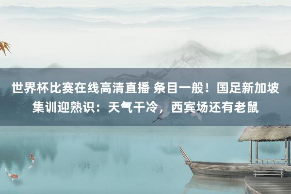 世界杯比赛在线高清直播 条目一般！国足新加坡集训迎熟识：天气干冷，西宾场还有老鼠