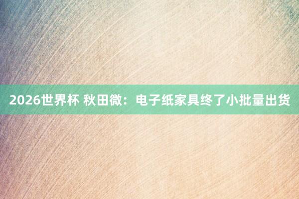 2026世界杯 秋田微：电子纸家具终了小批量出货