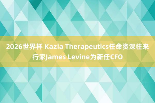 2026世界杯 Kazia Therapeutics任命资深往来行家James Levine为新任CFO