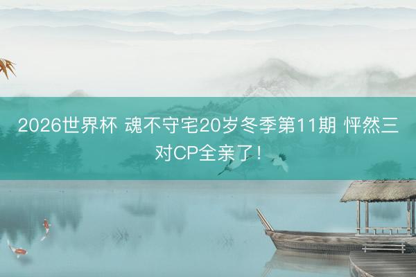 2026世界杯 魂不守宅20岁冬季第11期 怦然三对CP全亲了！