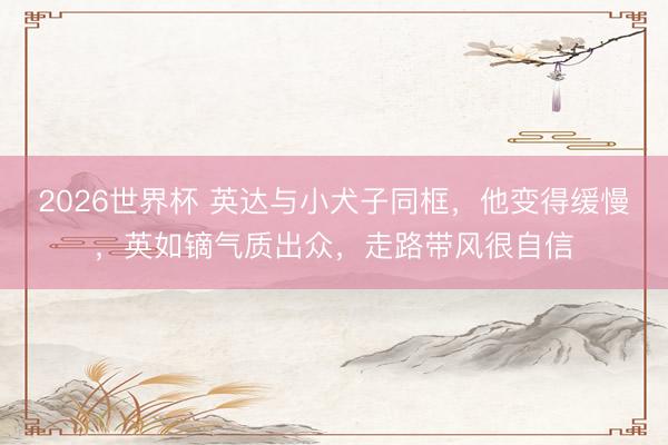 2026世界杯 英达与小犬子同框，他变得缓慢，英如镝气质出众，走路带风很自信
