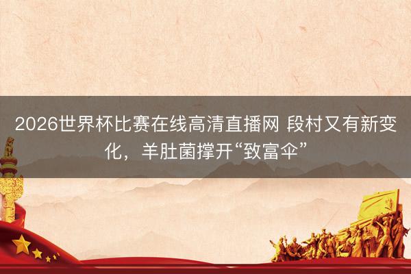 2026世界杯比赛在线高清直播网 段村又有新变化,羊肚菌撑开“致富伞”
