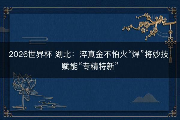 2026世界杯 湖北:淬真金不怕火“焊”将妙技 赋能“专精特新”