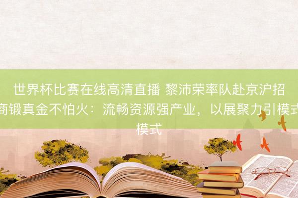 世界杯比赛在线高清直播 黎沛荣率队赴京沪招商锻真金不怕火:流畅资源强产业,以展聚力引模式
