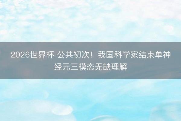 2026世界杯 公共初次!我国科学家结束单神经元三模态无缺理解